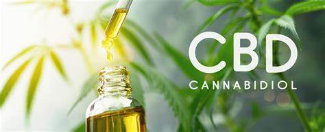 A Beginner’s Breakdown: Why and How Does CBD Work?