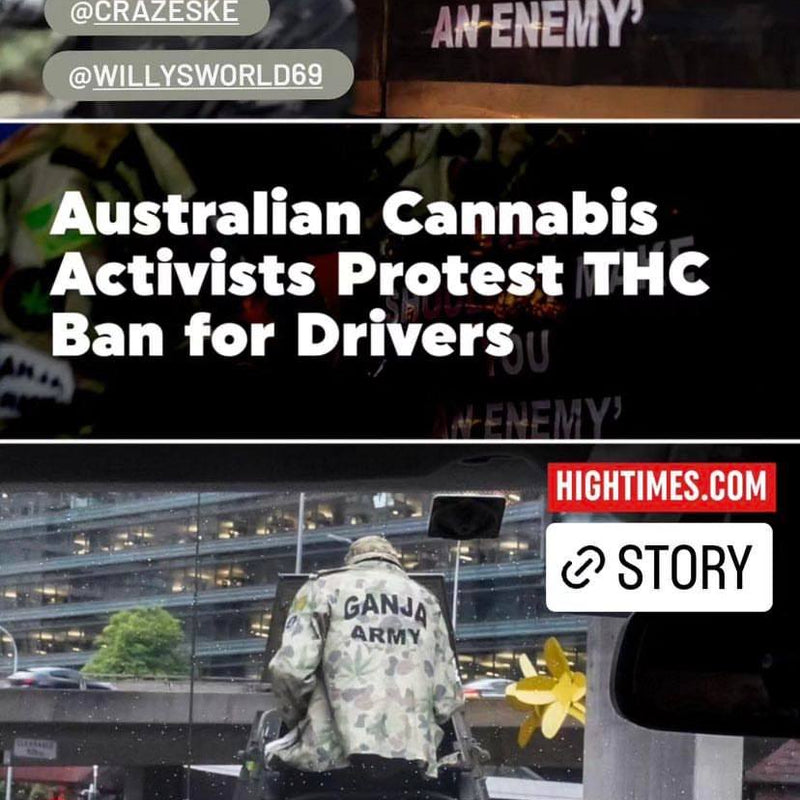 HIGH TIMES MAGAZINE X "WHO ARE WE HURTING" X BYRON BAY CBD: Australian Cannabis Activists Protest THC Ban for Drivers